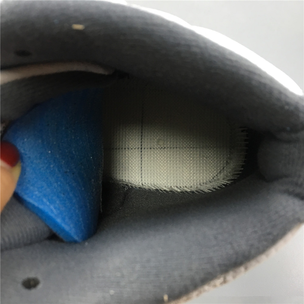 Air Jordan 12 retro 153265-160